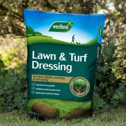Westland Lawn and Turf Dressing